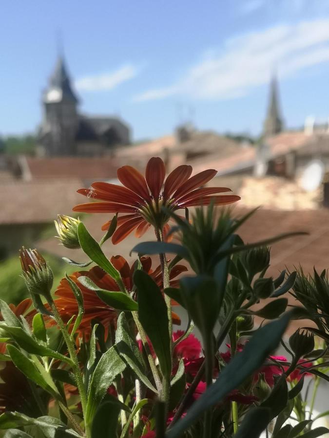 Bed & Breakfast Maison Belmont *